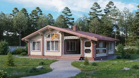 № 250 Снегири